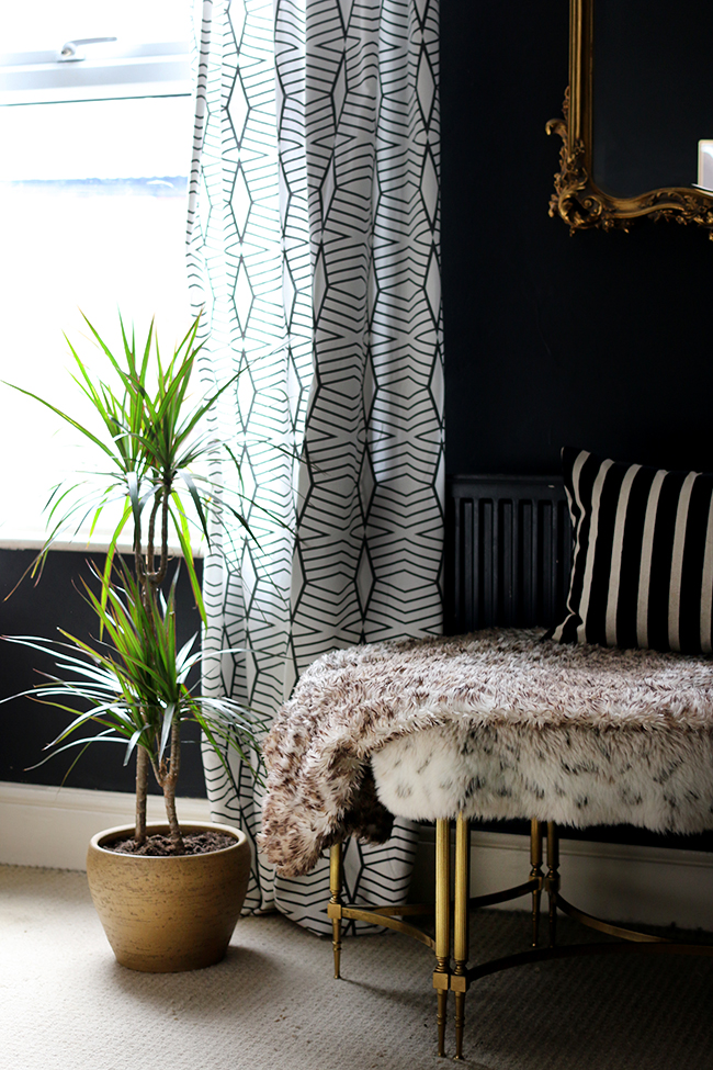 Dracaena marginata in black bedroom with gold accents