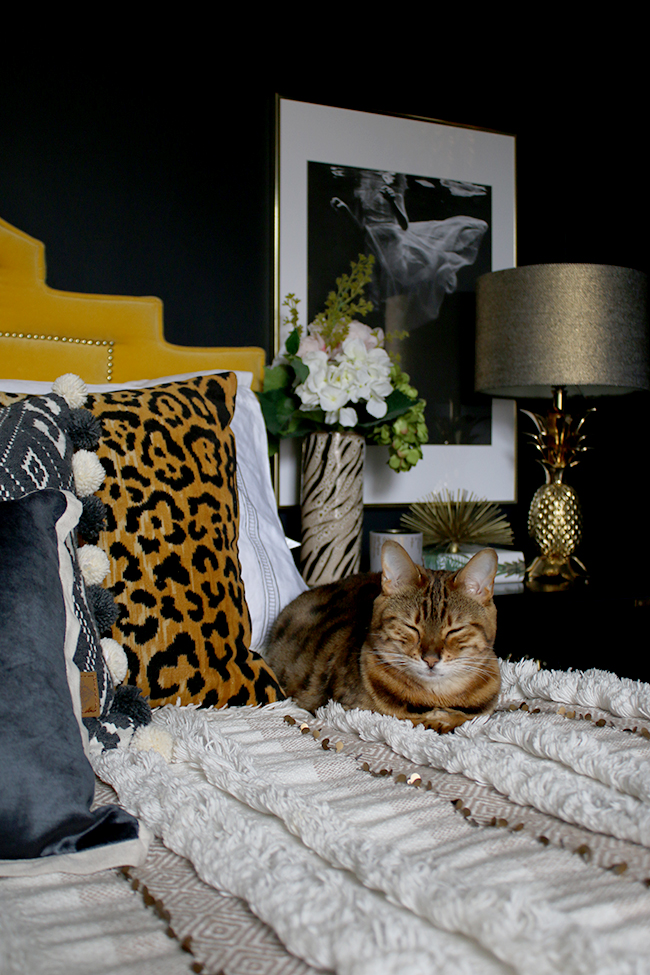 black bedroom with yellow velvet headboard leopard print cushions and gold pineapple lamp and bengal cat