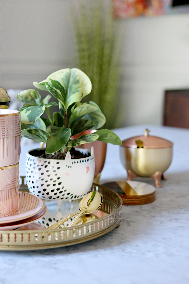 table top vignette with coffee cups and anthro planter