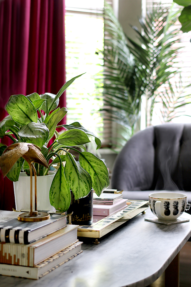 coffee table vignette