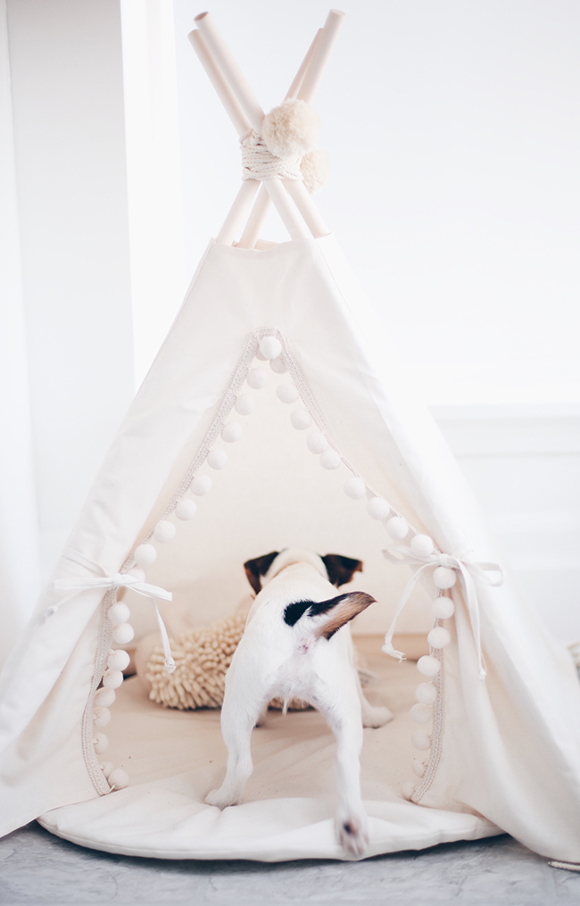 Stephanie Sterjovski cute pet bed