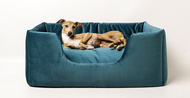 charley-chau-deeply-dishy-dog-bed-teal