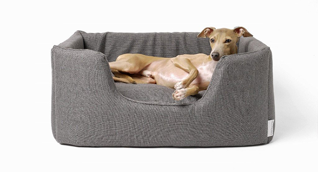 charley-chau-deeply-dishy-dog-bed-weave-slate