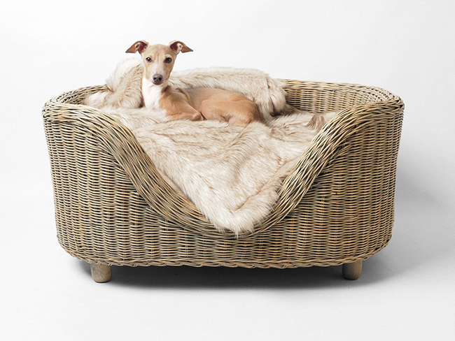 Oval Rattan pet Bed by Charley Chau 