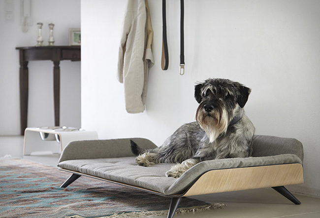 Letto cute pet bed