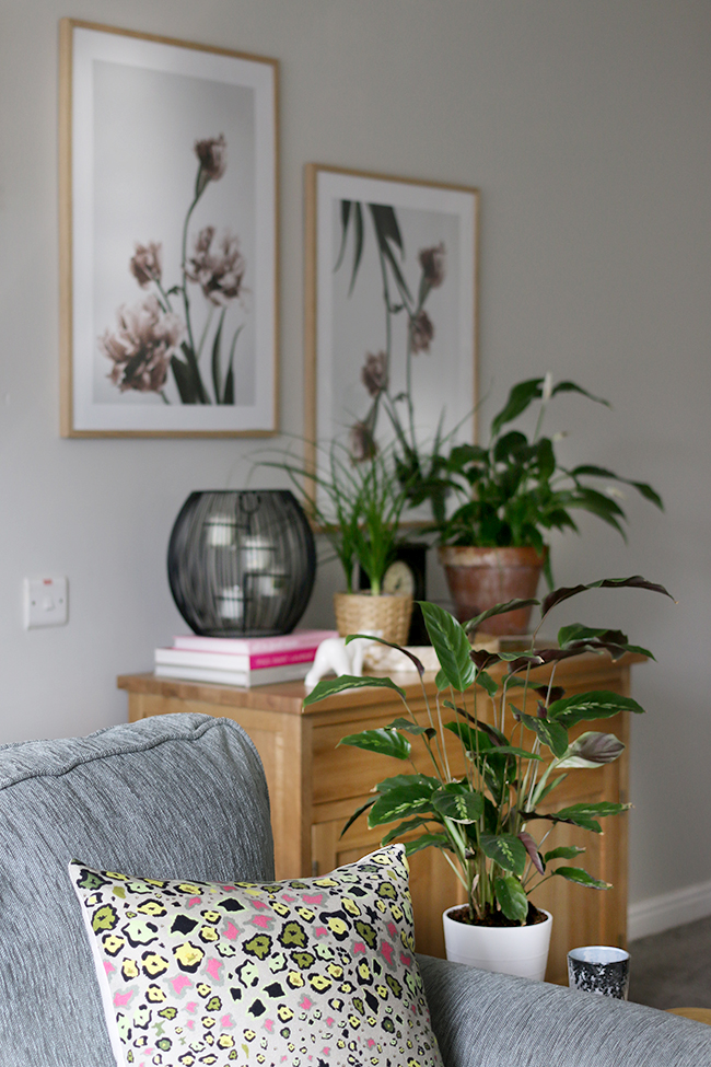 Take a look at the before and after of my Mother in Law's contemporary romantic living room