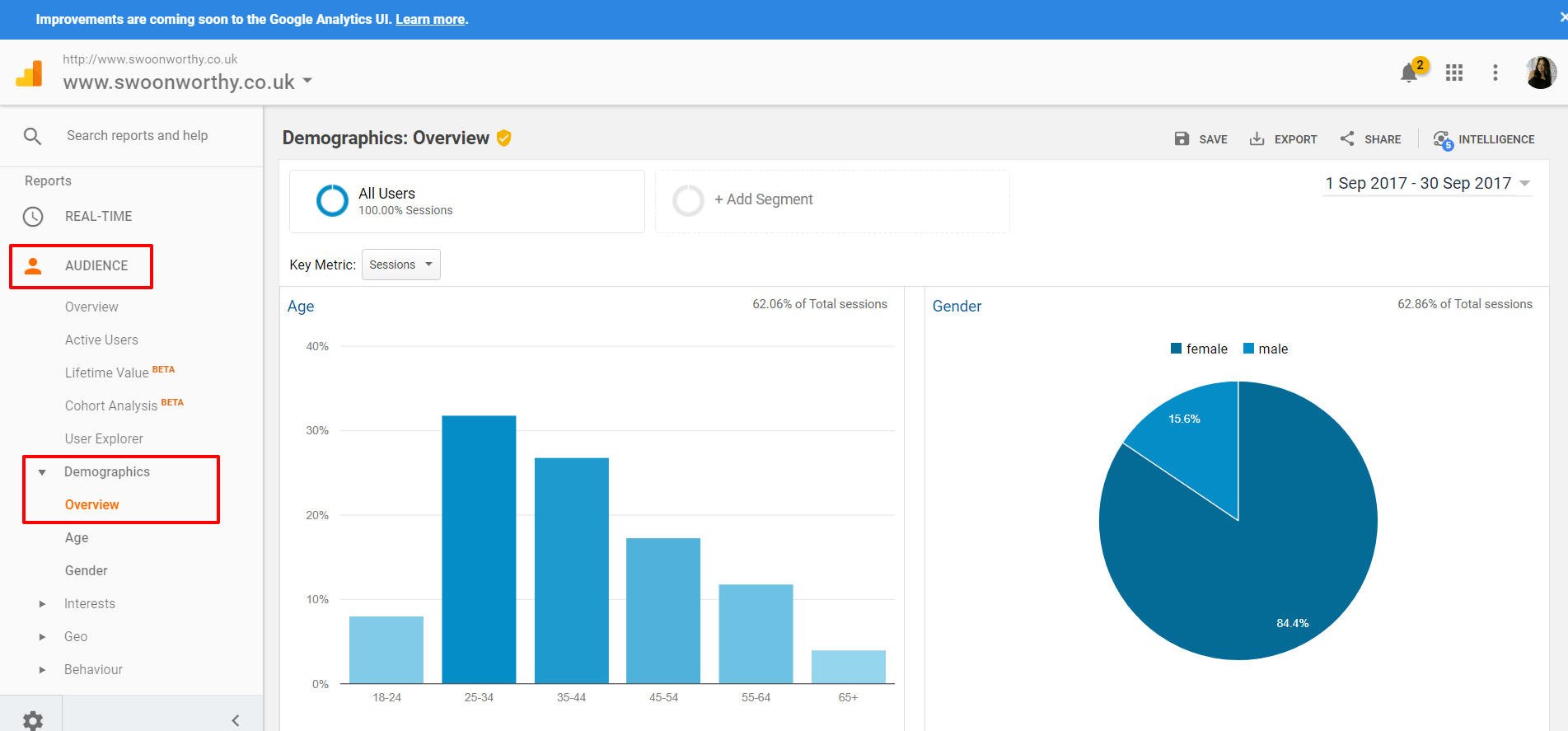 Demographics Overview Analytics 1