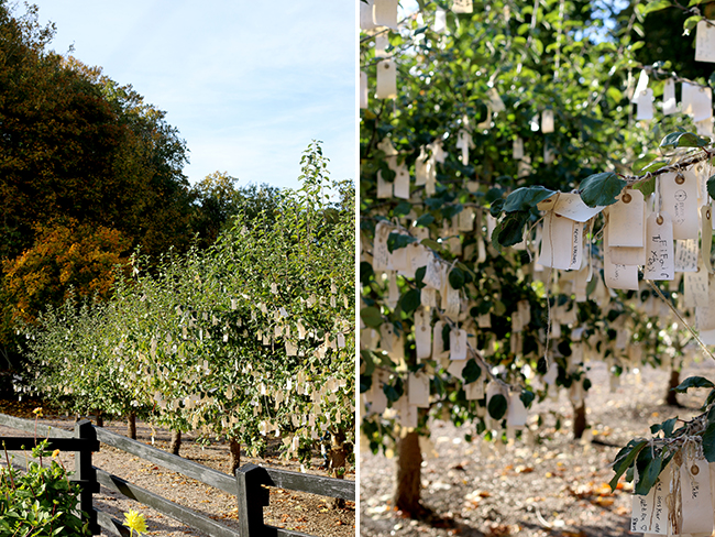 Wanas Park Yoko Ono Wish Tree Sweden