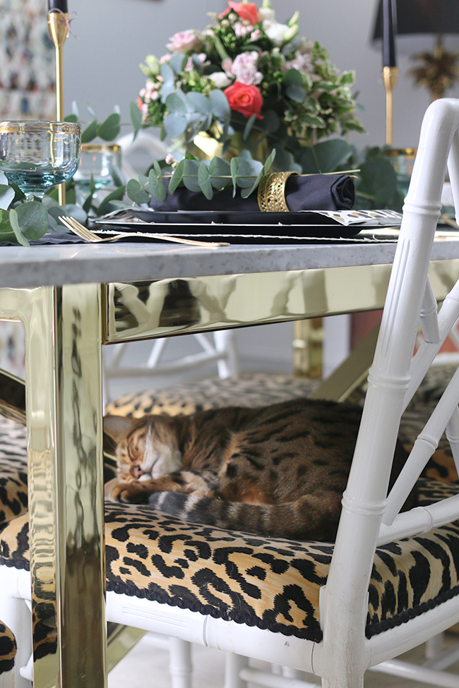 Bengal cat sleeping on leopard print chair