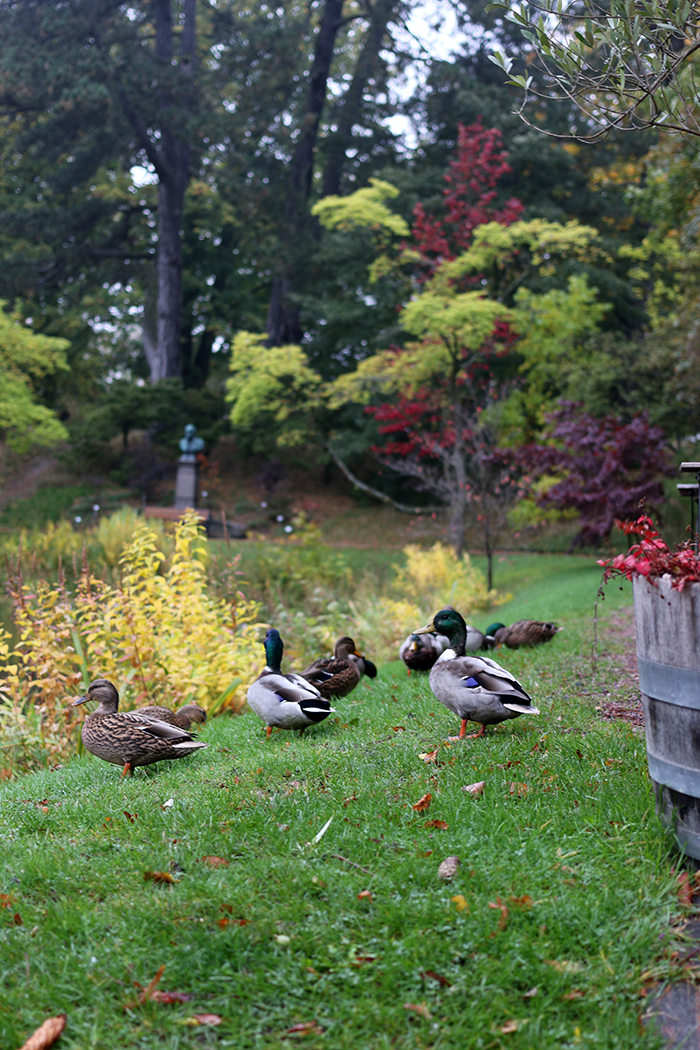 Botanical Gardens Lund