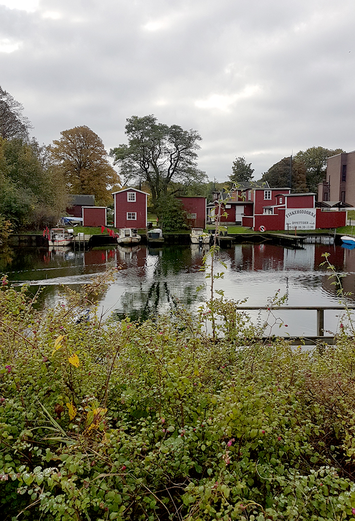 Fishing in Malmo Sweden