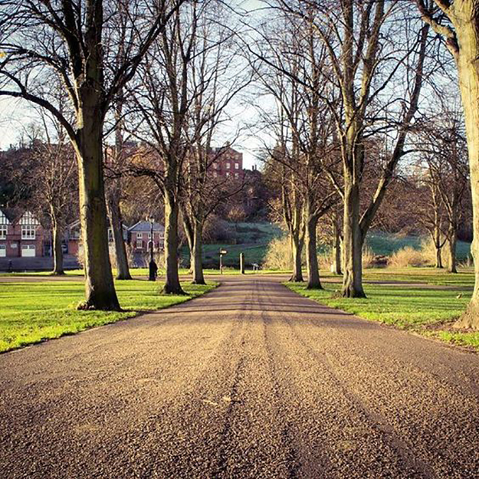 Shrewsbury - Green Areas