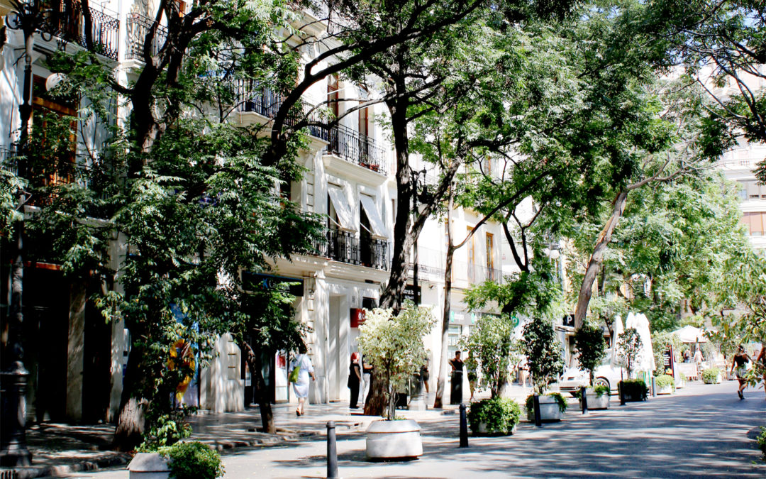 An Afternoon in Valencia’s Old Town