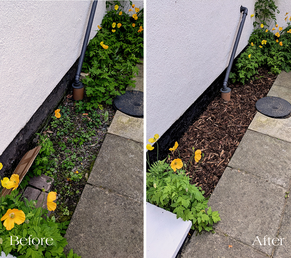 border before and after with wood bark